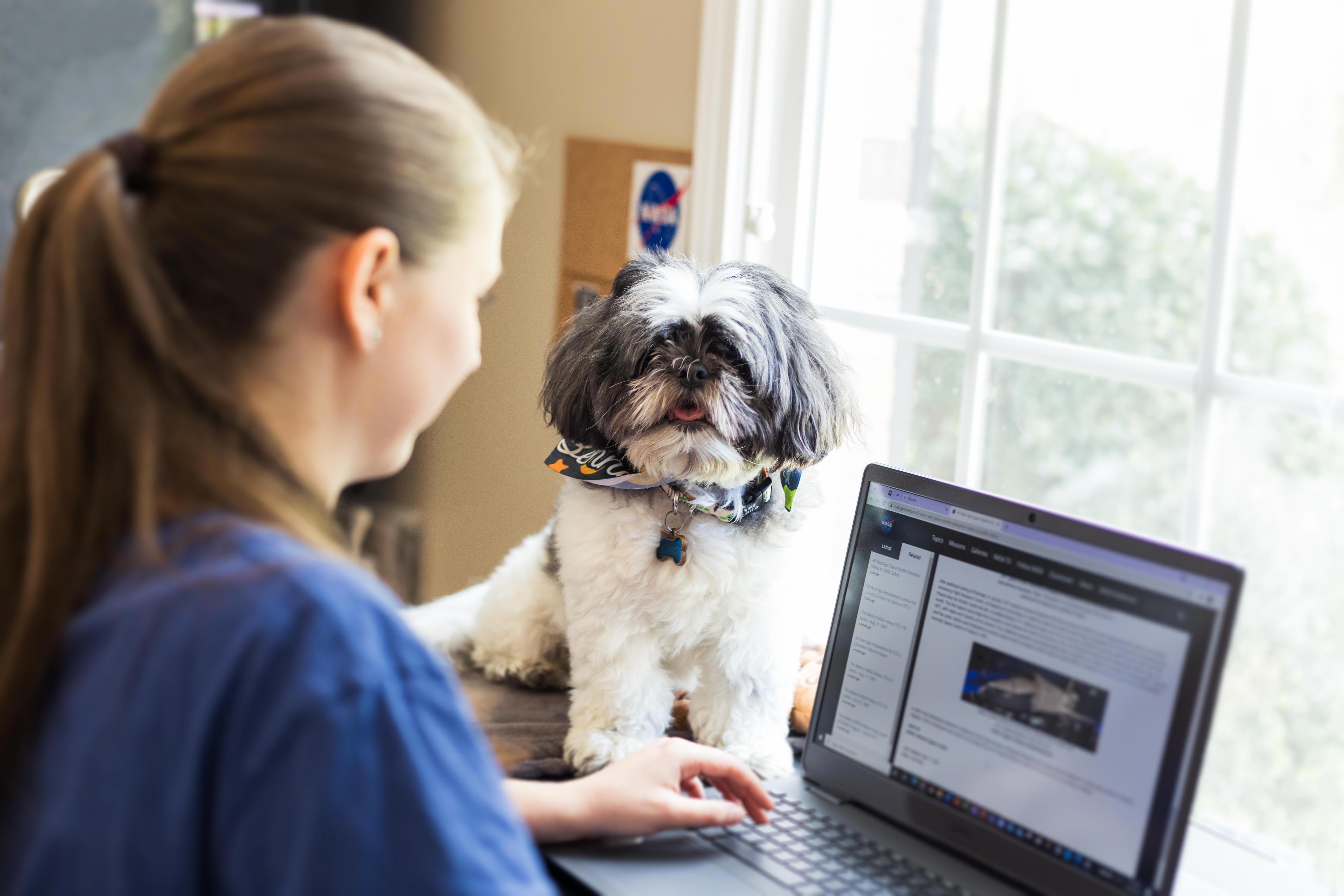 Madeline Schmidt sits at her desk inside her bedroom with her dog Bennie.