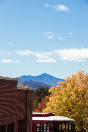 Trees with mountains in the background