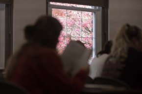 Springtime classroom view