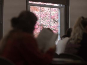 Springtime classroom view