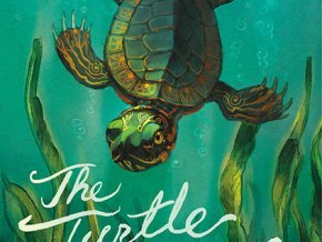 The Turtle of Michigan book cover