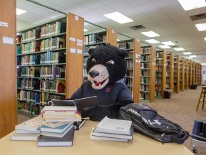 Joe Bear studying in the learning commons