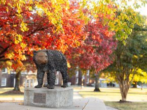 Bear cub statue with fall leaves and Mauney-Schaeffer in the background