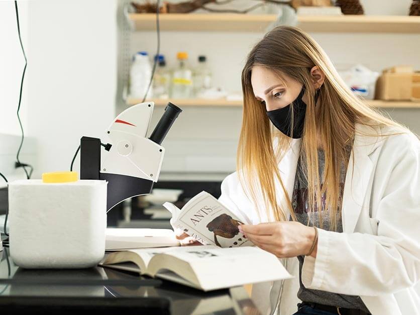 Olivia Nunn identified ant species for a national research project.