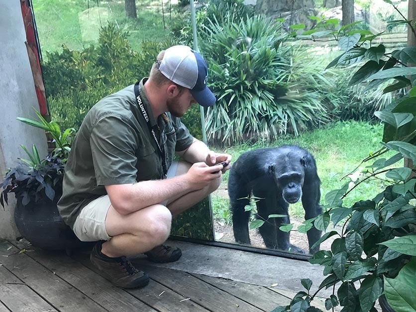 LR student studies a chimpanzee at the North Carolina Zoo