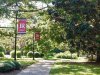 Red LR banners along a campus sidewalk